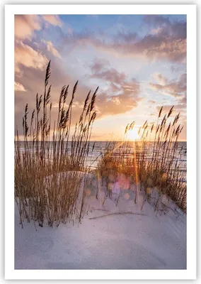 Produktbild von Poster - Poster ohne Rahmen - Westen auf der Strand - 70x100 cm - Wand Bild - Wanddeko - Wandbilder - Kunstposter - Wandposter - Bilder - Kunstdruck - Wanddekoration - Wandbild - P2XPA70x100-4710