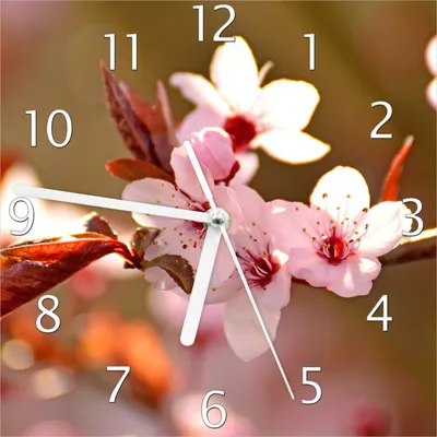 Produktbild von Wallario Design Wanduhr Frühlingsgefühle II - Kirschblüten in Nahaufnahme aus Echtglas, Größe 20 x 20 cm