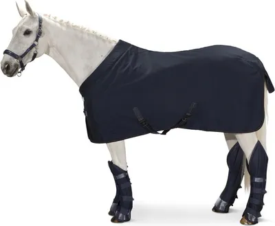Produktbild von Eskadron Transport Decke DURA SUMMER navy Classic Sports 2021, Größe:M