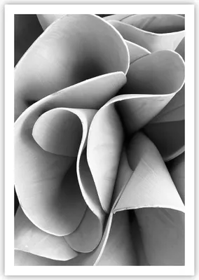 Produktbild von Poster - Poster ohne Rahmen - Material Ornament Stück - 70x100 cm - Wand Bild - Wanddeko - Wandbilder - Kunstposter - Wandposter - Bilder - Kunstdruck - Wanddekoration - Wandbild - P2XPA70x100-4993