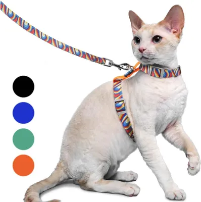 Image de Supet Harnais et laisse pour chats Anti-fugue Orange M