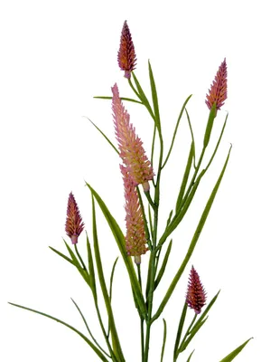 Produktbild von Künstlicher Weiderich 60cm, Wiesenblume ROSA