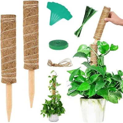 Produktbild von Famanu Kokos Pflanzenstab mit Verlängerung - 2 Stück, 30 cm