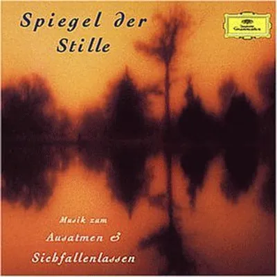 Produktbild von Various - Spiegel Der Stille