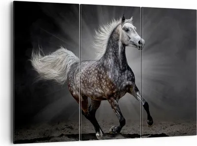 Produktbild von Bild auf Leinwand - Leinwandbild - Pferd Tier Natur - 165x110cm - Wand Bild - Wanddeko - Leinwanddruck - Bilder - Kunstdruck - Wanddekoration - Leinwand bilder - Wandkunst - CE165x110-3593