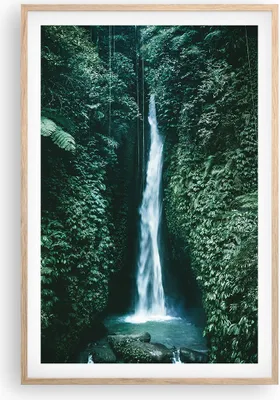 Produktbild von Gerahmtes Poster - Rahmen in heller Eiche - Tropen Wasserfall Dschungel - 61x91,5 cm - Wand Bild - Wanddeko - Wandbilder - Kunstposter - Wandposter - Bilderrahmen - Bilder - Kunstdruck P2NPA61x91-5103