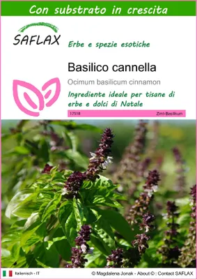 Immagine prodotto di SAFLAX  - Basilico cannella - 200 semi - Con substrato - Ocimum