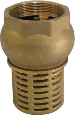 A brass foot valve with a strainer is shown against a white background.