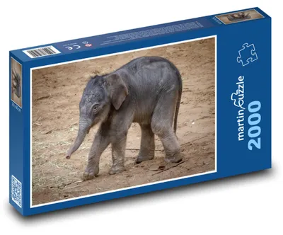 Obrázek produktu pro martinpuzzle - Puzzle 2000 - Slon - mládě