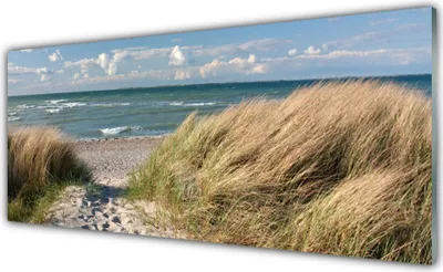 Produktbild von Acrylglasbilder 125x50 Wandbild Druck Fußpfad Meer Gras Landschaft