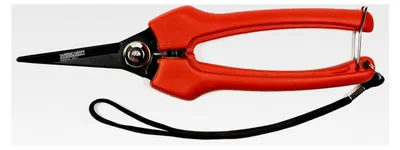 Produktbild von Ernteschere und Leseschere, handlich, mit spitzen Klingen, für Handgrößen S bis L