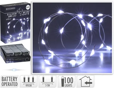 Image de Guirlande lumineuse LED à fil argenté, 100 LED, blanc froid