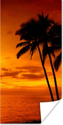 Produktbild von MuchoWow® Poster Palme - Sonnenuntergang - Tropisch - Orange - Meer 20x40 cm - Plakat - Foto