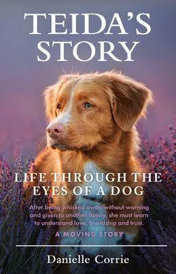 Produktbild von Teida's Story