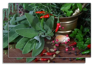 Produktbild von Wallario Frühstücksbrettchen 2er Set aus Glas, je 20 x 30 cm, mit rutschfesten Füßen, Motiv Frische  Kräuter  und  Gewürze