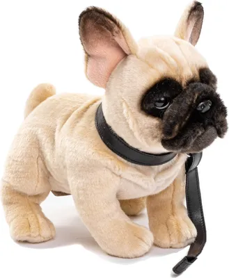 Produktbild von Uni-Toys - Französische Bulldogge (beige), mit Leine - 27 cm (Länge) - Plüsch-Hund, Dogge - Plüschtier, Kuscheltier