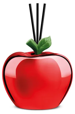 Productafbeelding van EGAN IL GIARDINO DEI PROFUMI Diffuser LE CASETTE, rood, 11 x 13 cm