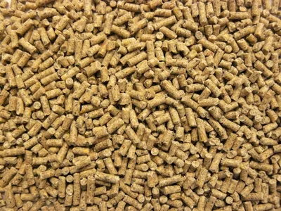 Produktbild von deuka Legekorn gekörnt 25 kg