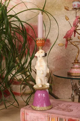 Immagine prodotto di Candeliere a forma di cane, 9 cm - Multicolore - Resina