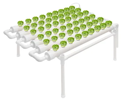 Produktbild von Hydrokulturanbau-Behälter – 54 Pflanzstellen – 102 x 62 x 35 cm – PVC-U – Für Blattgemüse und Kräuter