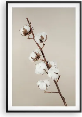 Produktbild von Gerahmtes Poster - Schwarzer Rahmen - Baumwolle Zweig Boho - 61x91,5 cm - Wand Bild - Wanddeko - Wandbilder - Kunstposter - Wandposter - Bilderrahmen - Bilder - Kunstdruck - P2BPA61x91-4730