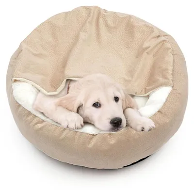 Immagine prodotto di Cuccia per cani, lavabile, morbida, con coperta, diametro 70 cm, beige, taglia media