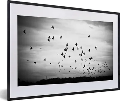 Produktbild von MuchoWow® Gerahmtes Poster Tiere - Vögel - Wolken - Schwarz - Weiß 60x40 cm - Poster mit Schwarzem Bilderrahmen Wandposter Rahmen Foto Bilder - Schlafzimmer - Plakat in Rahmen - Drucken