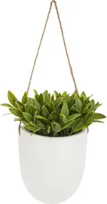 Produktbild von Künstliche pflanze zum aufhängen keramiktopf h20cm - Atmosphera créateur d'intérieur