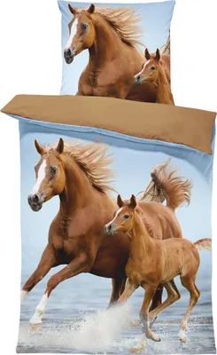 Produktbild von Kinderbettwäsche Mädchen 135x200 cm Pferde Fohlen Tiere blau braun Mikrofaser