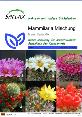 Produktbild von SAFLAX - Mammilaria Mischung - Mammilaria Mix - 40 Samen