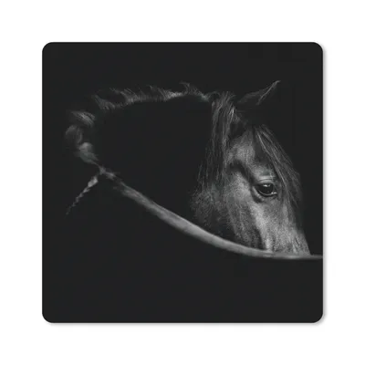 Produktbild von MuchoWow® Mauspad Mousepad Pferde - Porträt - Schwarz - Tiere 20x20 cm - Mousepads - Maus Mat - Pad - Mausunterlage - Desk Mat - Bureauartikeln