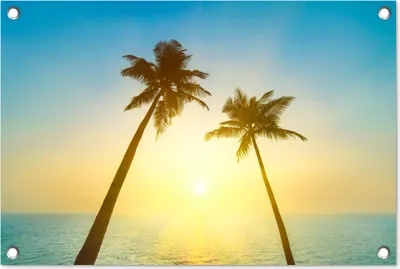 Produktbild von MuchoWow® 60x40 cm Outdoor-Poster Gartendeko Sichtschutz Garten Poster für den Garten  Strand - Sonnenuntergang - Palmen