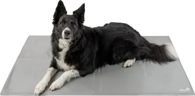 Produktbild von Kühlmatte für Hunde, 75x120 cm, grau