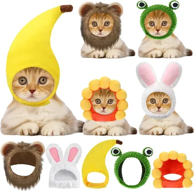 Produktbild von Hundekostüm – Set mit 5 Teilen – Katzenmütze, Kaninchenmütze