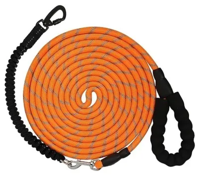 Obrázek produktu pro 10m elastické vodítko pro psy s reflexními prvky a uzamykatelným otočným karabinou