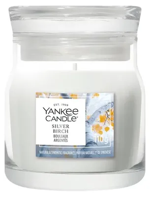 Produktbild von Yankee Candle Duftkerze 'Silberbirke', klein, bis zu 29 Stunden Brenndauer