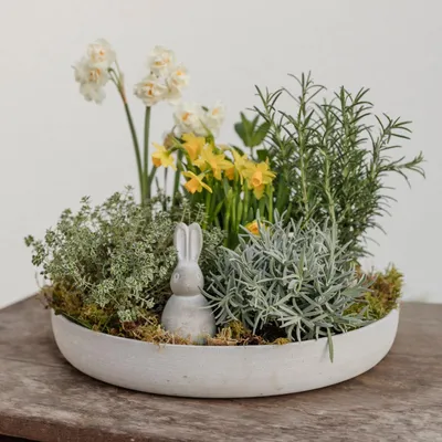 A decorative bowl filled with plants and a small bunny figurine.