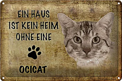 Produktbild von Blechschild Spruch 18x12cm Ocicat Katze ohne kein Heim