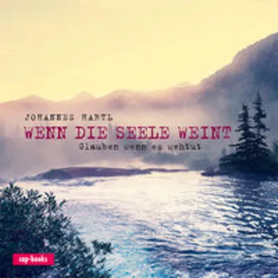 Produktbild von Wenn die Seele weint
