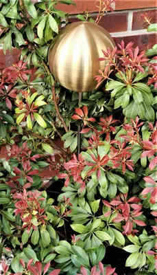 Produktbild von Rosenkugel 10 cm Edelstahl gold matt gebürstet mit Stab 80 cm