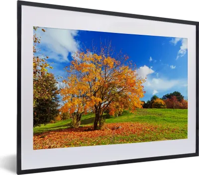 Produktbild von MuchoWow® Gerahmtes Poster Baum - Blätter - Herbst - Jahreszeiten 40x30 cm - Poster mit Schwarzem Bilderrahmen Wandposter Rahmen Foto Bilder - Bilderrahmen - Poster im Rahmen