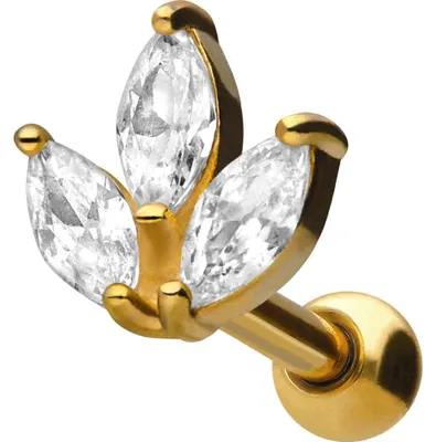Produktbild von Ohrpiercing Chirurgenstahl Ohrpiercing KRISTALLBLÄTTER