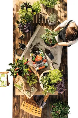 Produktbild von PON-Pflanzsubstrat VEGGIEPON 6 Liter | Substrat für Gemüse, Kräuter und Obst | vorgedüngt, vegan und torffrei | 13989