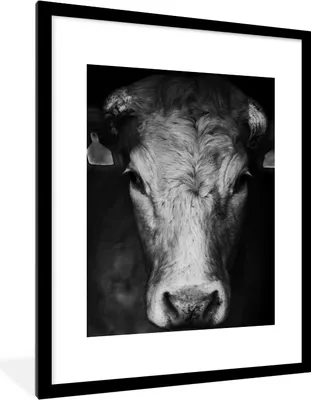 Produktbild von MuchoWow® Gerahmtes Poster Tiere - Kuh - Schwarz - Weiß - Kuhkopf 60x80 cm - Poster mit Schwarzem Bilderrahmen Wandposter Rahmen Foto Bilder - Wohnzimmer - Dekorationen - Prämie