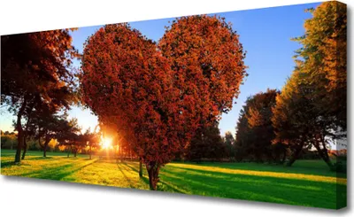 Produktbild von Tulup Leinwand-Bilder 125x50 Wandbild Canvas Kunstdruck Sonne Bäume Natur