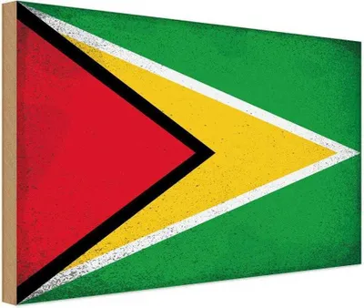 Produktbild von vianmo Holzschild 12x18 cm Guyana Vintage Flagge Fahne Wappen