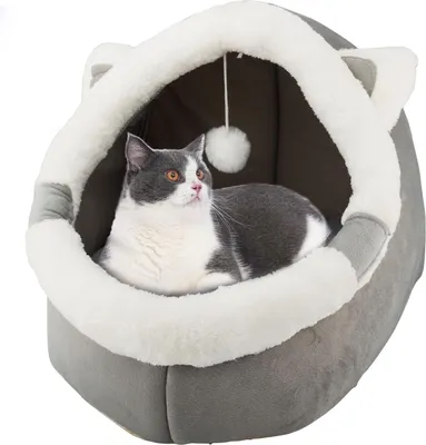 Produktbild von Katzenbetten für den Innenbereich mit hängendem Spielzeug, kleines Hundehöhlenbett mit Anti-Rutsch, Kätzchen-Zelt, abnehmbares gepolstertes Kissen, superweiche