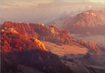 Produktbild von Wallario Fototapete Vliestapete, seidenmatte Oberfläche, einfache Verarbeitung, Größe 300 x 210 cm, Motiv Herbstliche Berggipfel im Morgenlicht