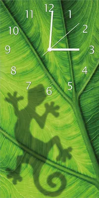 Produktbild von Wallario Design Wanduhr bedruckt, Größe 30 x 60 cm, Motiv: Gecko Schatten auf grünem Blatt - Umriss