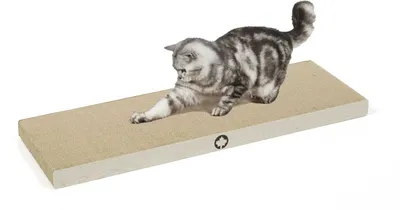 Immagine prodotto di Saturn - Tiragraffi canadese per gatti - bianco